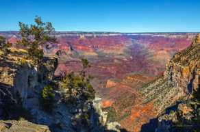 Grand Canyon-5220.jpg